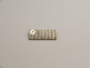 Folder Size Ladder Pattern Bar.